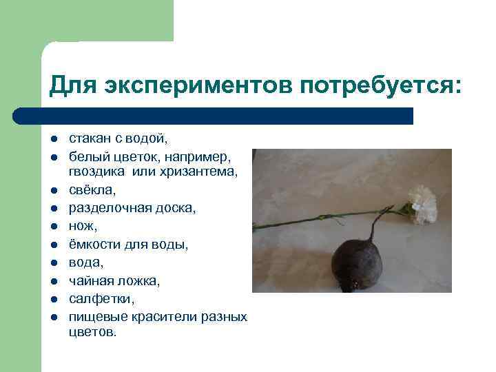 Для экспериментов потребуется: l l l l l стакан с водой, белый цветок, например,