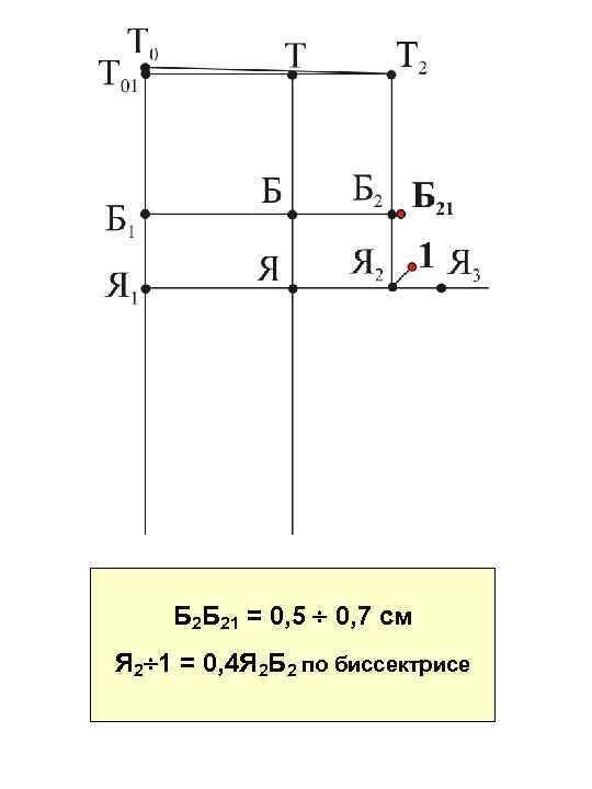 Б 2 Б 21 = 0, 5 0, 7 см Я 2 1 =