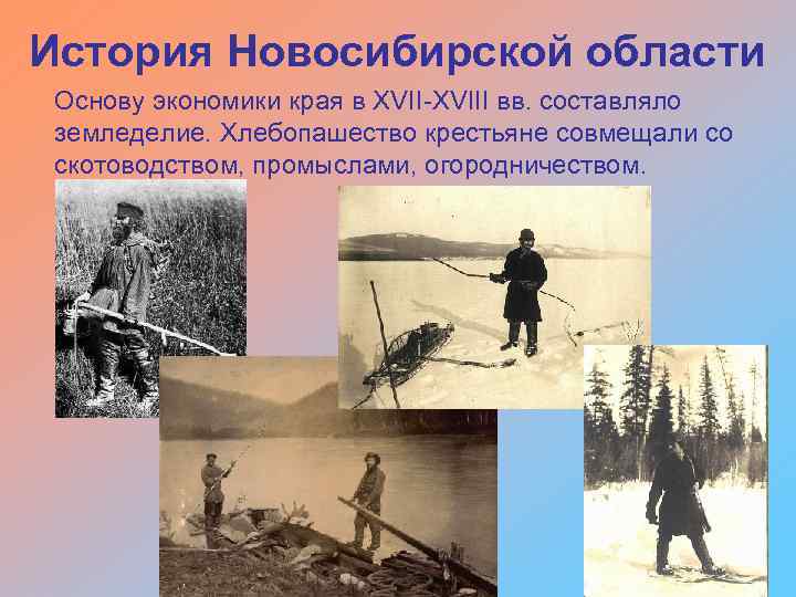 История Новосибирской области Основу экономики края в XVIII вв. составляло земледелие. Хлебопашество крестьяне совмещали