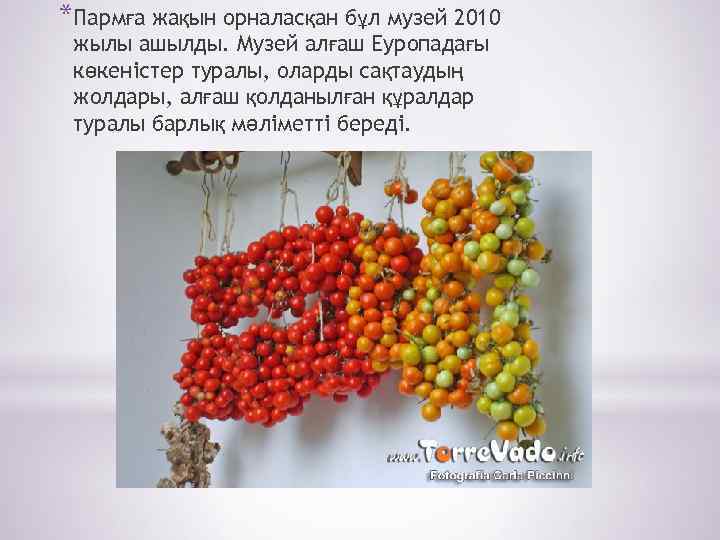 *Пармға жақын орналасқан бұл музей 2010 жылы ашылды. Музей алғаш Еуропадағы көкеністер туралы, оларды