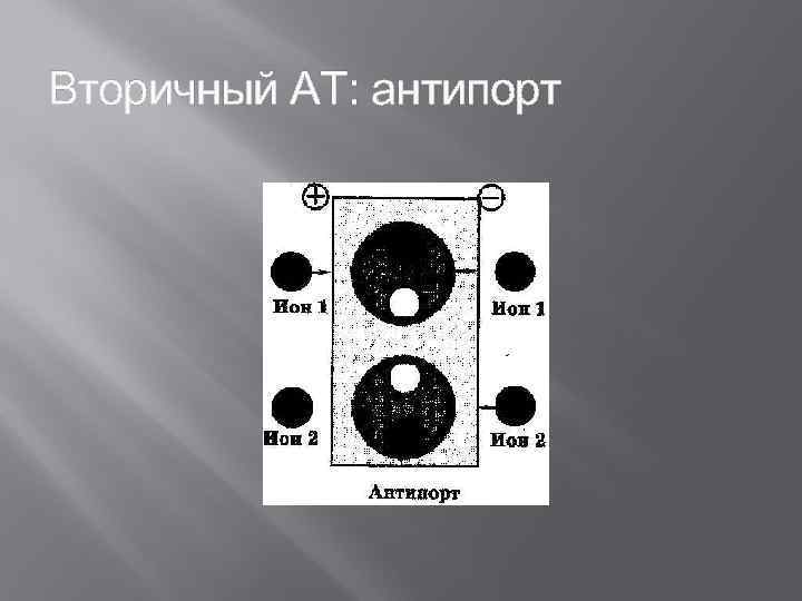 Вторичный АТ: антипорт 