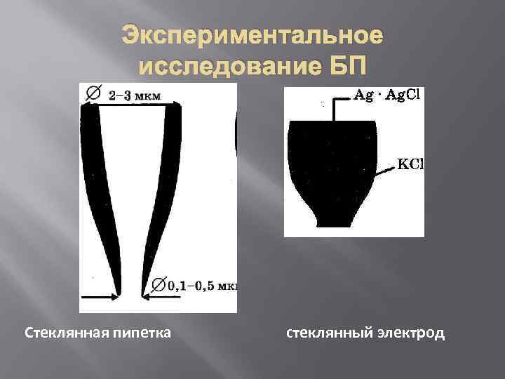 Экспериментальное исследование БП Стеклянная пипетка стеклянный электрод 