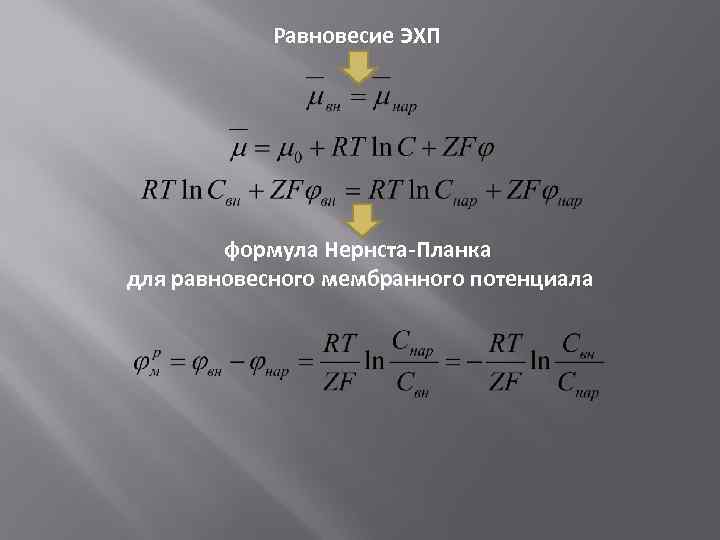 Равновесие ЭХП формула Нернста-Планка для равновесного мембранного потенциала 