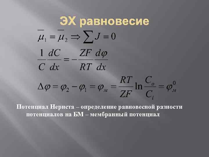 ЭХ равновесие Потенциал Нернста – определение равновесной разности потенциалов на БМ – мембранный потенциал