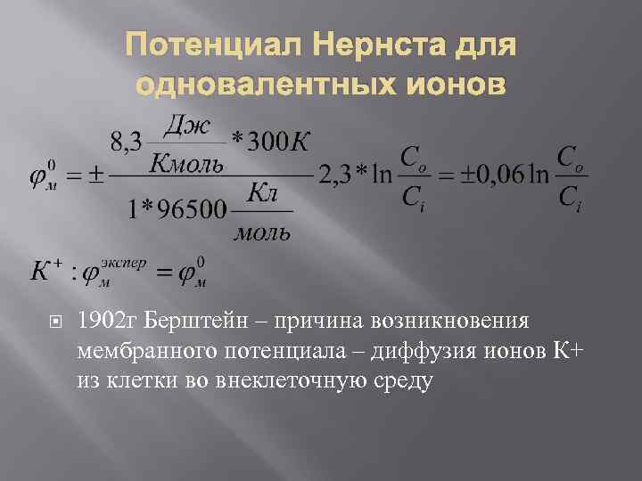 Потенциал Нернста для одновалентных ионов 1902 г Берштейн – причина возникновения мембранного потенциала –