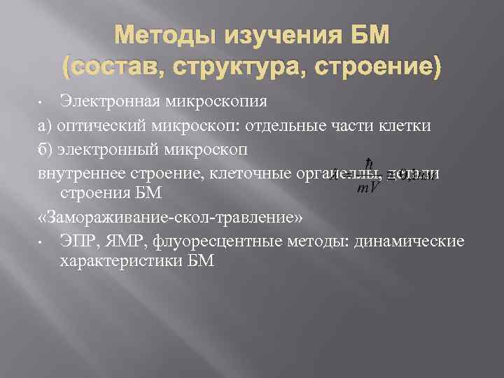 Методы изучения БМ (состав, структура, строение) Электронная микроскопия а) оптический микроскоп: отдельные части клетки