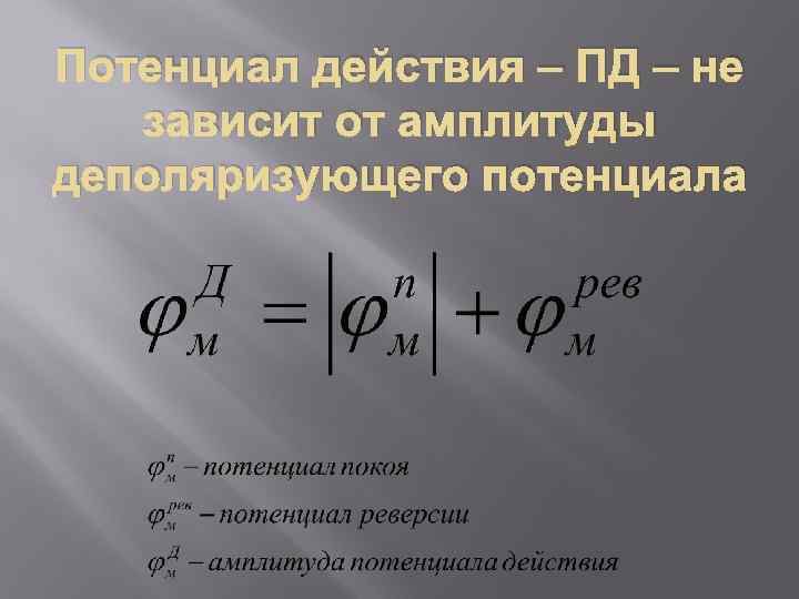 Потенциал действия – ПД – не зависит от амплитуды деполяризующего потенциала 