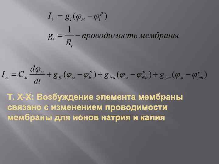 Т. Х-Х: Возбуждение элемента мембраны связано с изменением проводимости мембраны для ионов натрия и