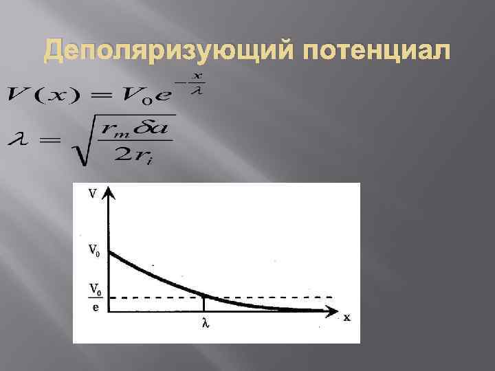 Деполяризующий потенциал 