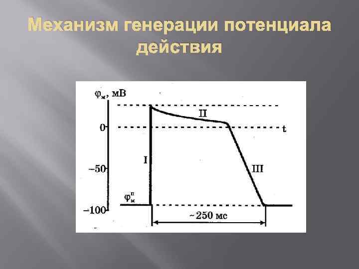 Механизм генерации потенциала действия 