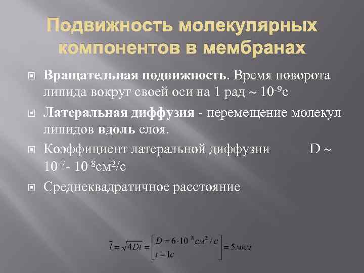 Подвижность молекулярных компонентов в мембранах Вращательная подвижность. Время поворота липида вокруг своей оси на