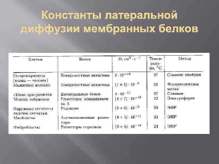 Константы латеральной диффузии мембранных белков 