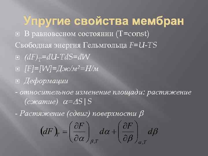 Упругие свойства мембран В равновесном состоянии (T=const) Свободная энергия Гельмгольца F=U-TS (d. F)T=d. U-Td.