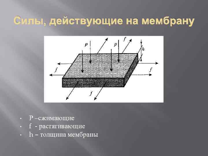 Силы, действующие на мембрану • • • Р –сжимающие f - растягивающие h –