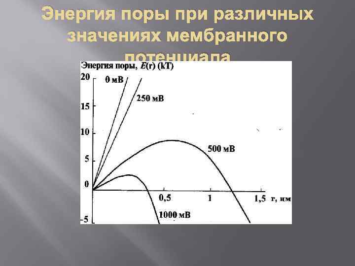 Энергия поры при различных значениях мембранного потенциала 