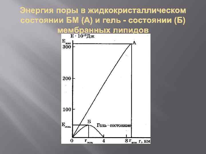 Энергия поры в жидкокристаллическом состоянии БМ (А) и гель - состоянии (Б) мембранных липидов