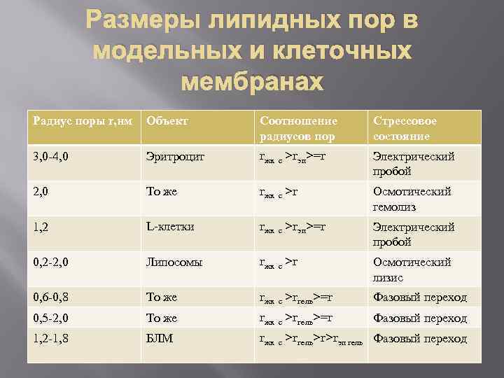 Размеры липидных пор в модельных и клеточных мембранах Радиус поры r, нм Объект Соотношение