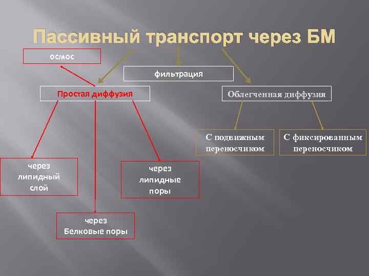 Пассивный транспорт через БМ осмос фильтрация Простая диффузия Облегченная диффузия С подвижным переносчиком через