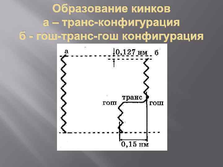 Образование кинков а – транс-конфигурация б - гош-транс-гош конфигурация 