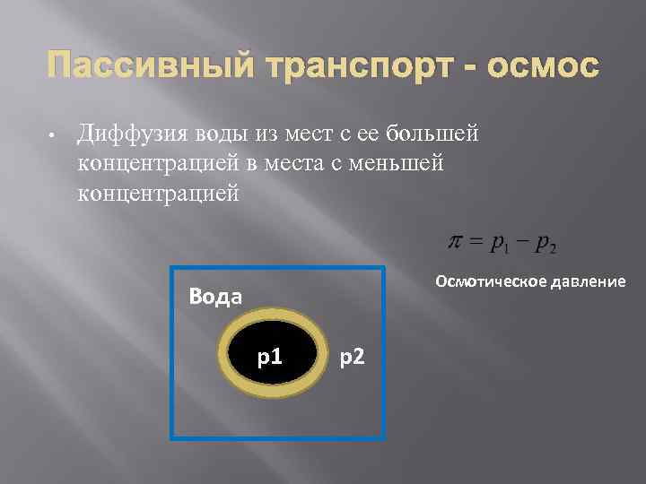 Пассивный транспорт - осмос • Диффузия воды из мест с ее большей концентрацией в