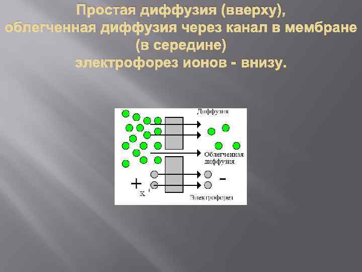 Простая диффузия (вверху), облегченная диффузия через канал в мембране (в середине) электрофорез ионов -