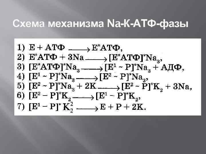 Схема механизма Na-К-АТФ-фазы 