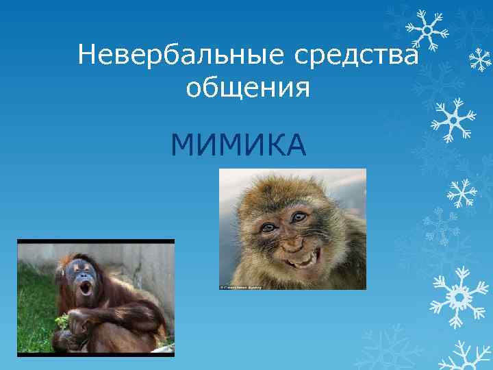 Невербальные средства общения МИМИКА 