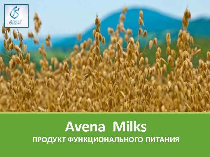 Аvena Milks ПРОДУКТ ФУНКЦИОНАЛЬНОГО ПИТАНИЯ 