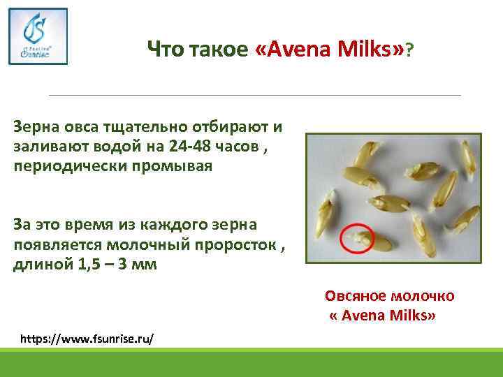 Что такое «Аvena Milks» ? Зерна овса тщательно отбирают и заливают водой на 24