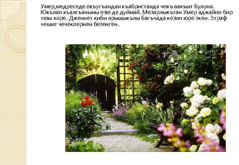 Умер, медреседе окъугъандан къабристанда чокъ вакъыт булуна. Юкълап къалгъаныны озю де дуймай. Мезарлыкътан Умер