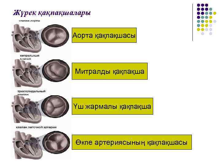 Өкпе жүрек жетіспеушілігі презентация