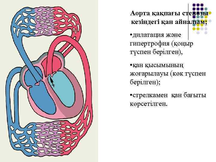 Кіші қан айналым шеңбері