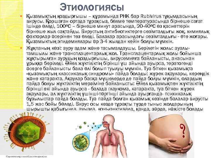 Этиологиясы Қызамықтың қоздырғышы – құрамында РНК бар Rubivirus тұқымдасының вирусы. Қоршаған ортада тұрақсыз, бөлме