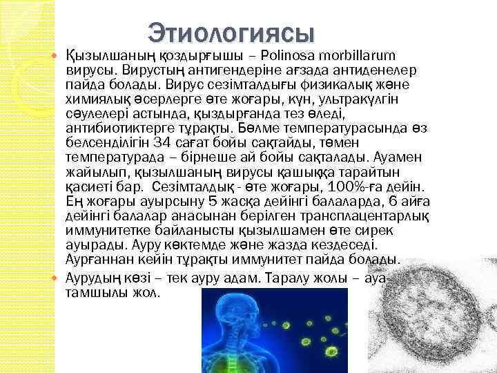 Этиологиясы Қызылшаның қоздырғышы – Polinosa morbillarum вирусы. Вирустың антигендерiне ағзада антиденелер пайда болады. Вирус