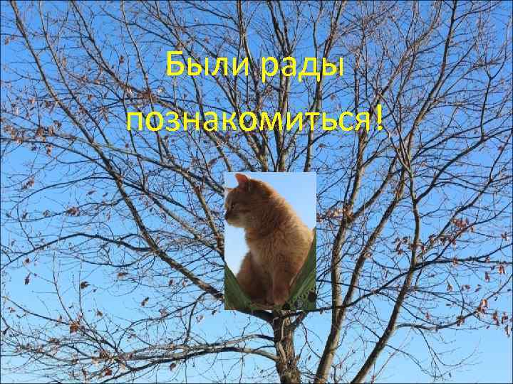 Были рады познакомиться! 