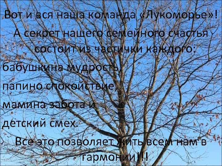 Вот и вся наша команда «Лукоморье» ! А секрет нашего семейного счастья состоит из