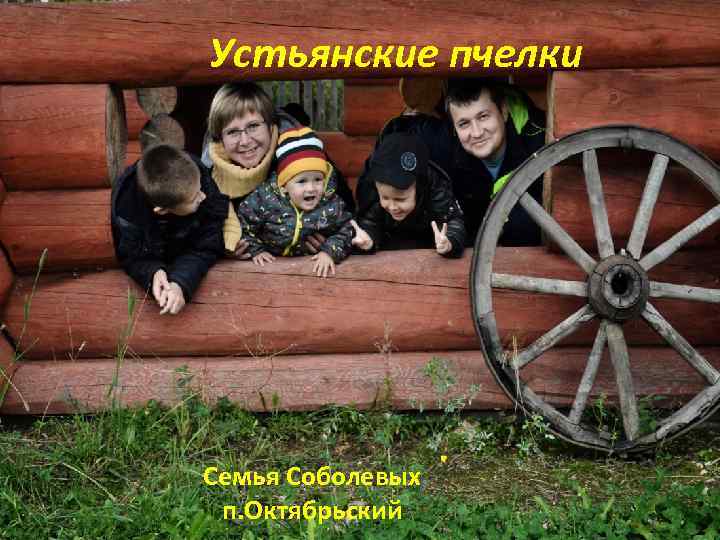 Устьянские пчелки Семья Соболевых п. Октябрьский 
