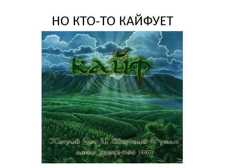 НО КТО-ТО КАЙФУЕТ 