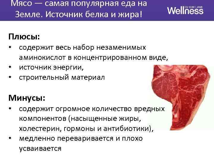 Мясо — самая популярная еда на Земле. Источник белка и жира! Плюсы: • содержит