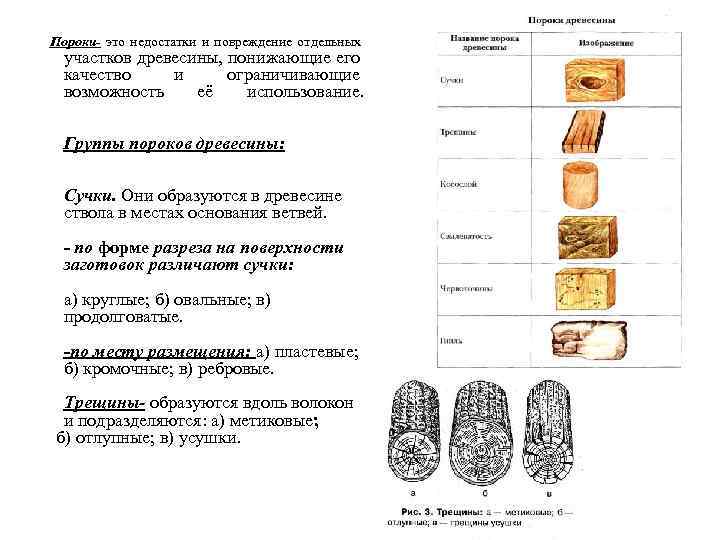 Пороки- это недостатки и повреждение отдельных участков древесины, понижающие его качество и ограничивающие возможность