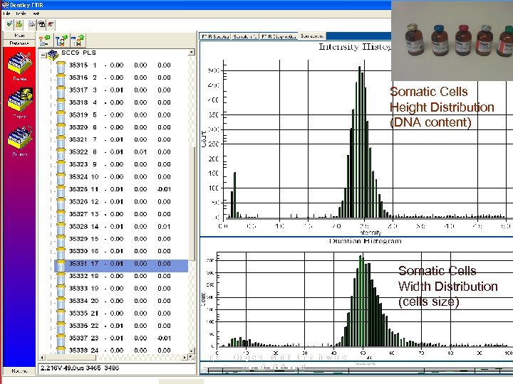 Somatic Cells Height Distribution (DNA content) Somatic Cells Width Distribution (cells size) IDF/ICAR Congress
