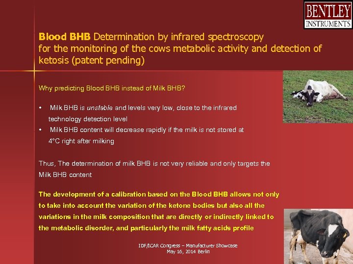 Blood BHB Determination by infrared spectroscopy for the monitoring of the cows metabolic activity