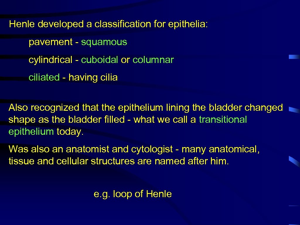 Henle developed a classification for epithelia: pavement - squamous cylindrical - cuboidal or columnar