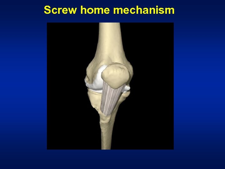 Screw home mechanism 