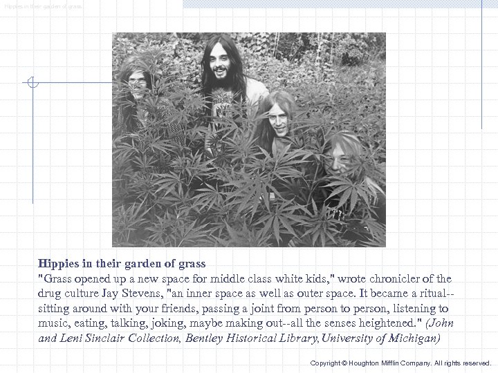 Hippies in their garden of grass 