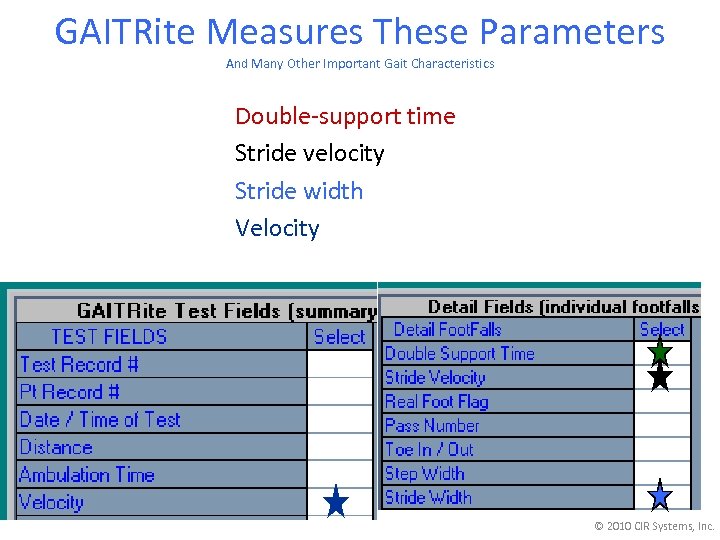 GAITRite Measures These Parameters And Many Other Important Gait Characteristics Double-support time Stride velocity