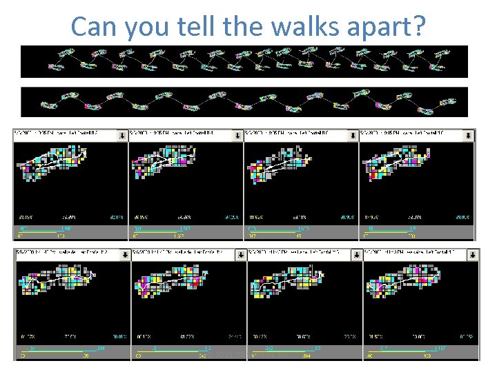 Can you tell the walks apart? © 2010 CIR Systems, Inc. 