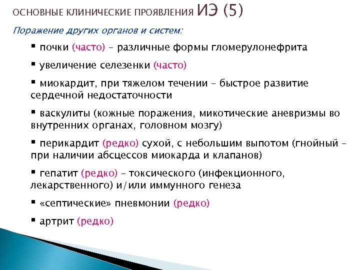 ОСНОВНЫЕ КЛИНИЧЕСКИЕ ПРОЯВЛЕНИЯ ИЭ (5) Поражение других органов и систем: § почки (часто) –