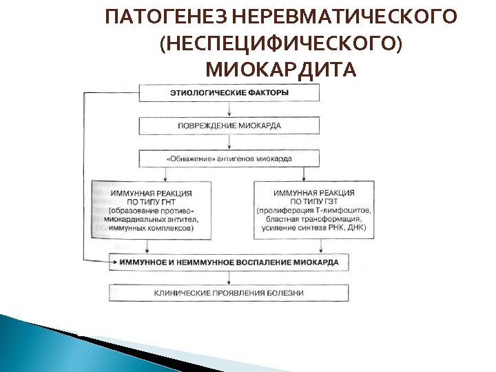 ПАТОГЕНЕЗ НЕРЕВМАТИЧЕСКОГО (НЕСПЕЦИФИЧЕСКОГО) МИОКАРДИТА 