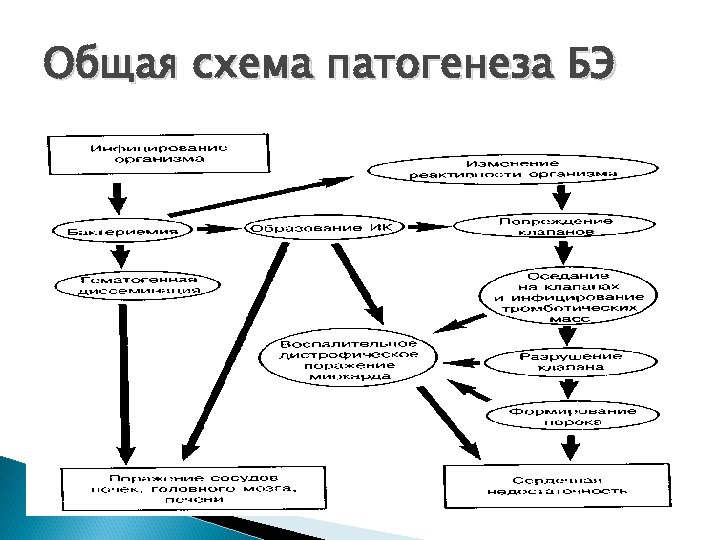 Общая схема патогенеза БЭ 